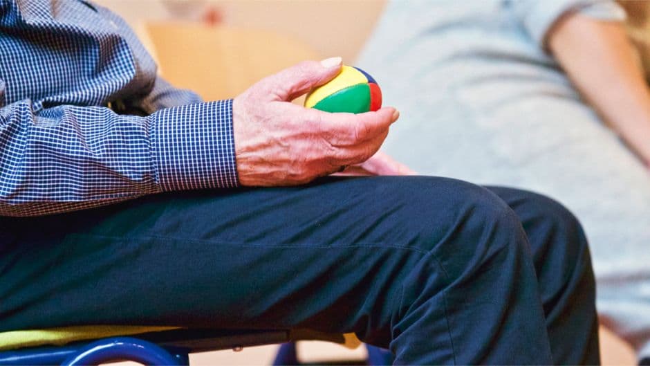 Balance is a partnership between the inner ear, eyes, and body